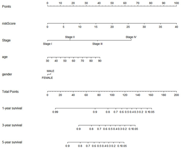 The nomogram for predicting survival probability of COAD patients with 1-, 3- and 5-year OS.