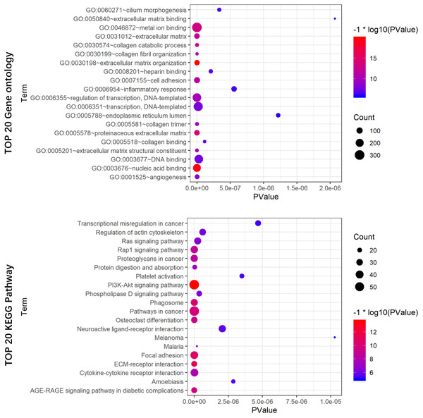 GO (A) and KEGG pathway (B) analysis of the 7-lncRNA related genes.