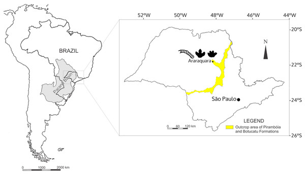 The localization of Araraquara City, where the fossils were collected, and outcrop area of the Botucatu and Pirambóia formations in the State of São Paulo, Brazil.