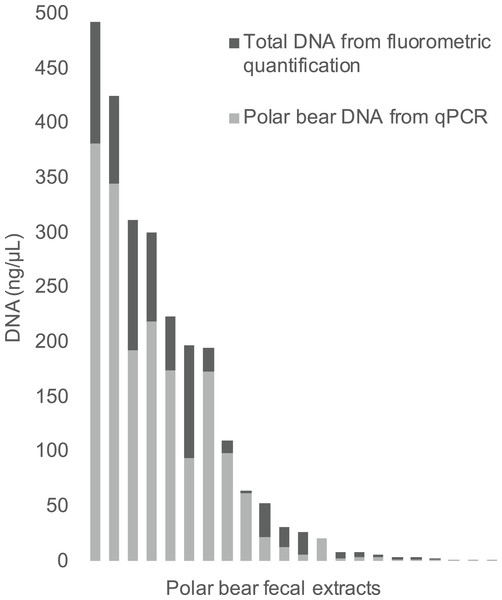 The total DNA in fecal extractions as measured by fluorometry and the portion identified to be polar bear DNA using the qPCR assay.