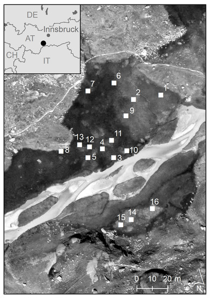 Geographic position of the 16 study plots in the high-alpine fen “Hohes Moos” in the Valley of Stubai near Greitspitze (Austria).
