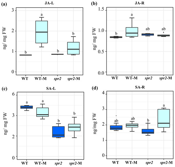Modification of jasmonic acid (JA) and salicylic acid (SA) levels in response to mycorrhizal colonization.