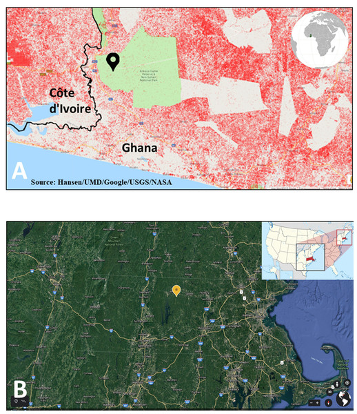 Locations of the eddy covariance sites analyzed in this study.