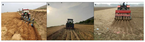 Different tillage practices performed during the field preparation: (A) deep tillage, (B) subsoiling, and (C) no-tillage.