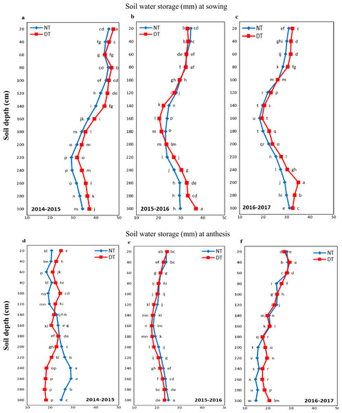 Soil water storage at 0-300 cm soil depth under no-tillage (NT) and deep tillage (DT).