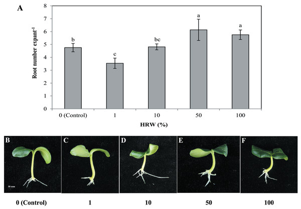 Effects of different concentrations of HRW on adventitious root development.