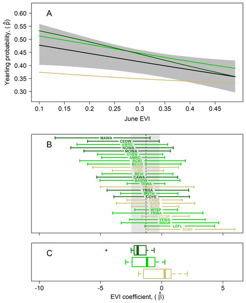 Results of multispecies hierarchical model to investigate the relationship between the age structure of adult birds and Enhanced Vegetation Index (EVI).