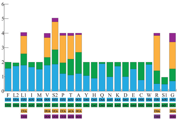 The relative synonymous codon usage (RSCU) in the A. americanus mitogenome.