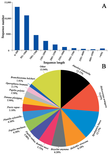 Length distribution of unigene and BLASTx unigenes with other species in the whole body transcriptome of C. obducta (A) length distribution of unigenes; (B) BLASTx analysis of identified unigenes with known homologs from other species.