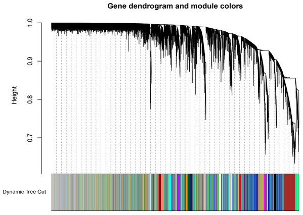 Dendrogram of gene expression.