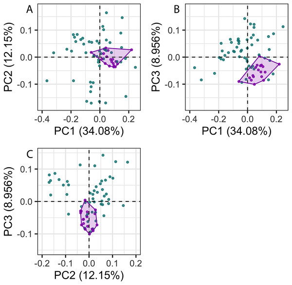  Principal components (PC) plots for 3D cochlea shape data for PCs 1–3.