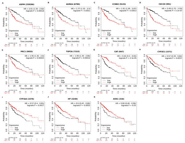 Overall survival analysis of 11 key genes in HCC patients.