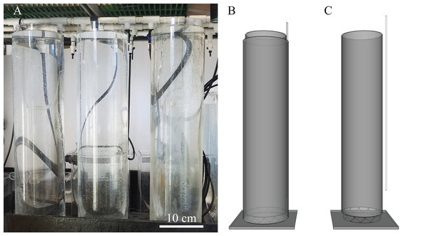 Experimental setup using three diffusion tubes and 3D rendering of diffusion tubes.