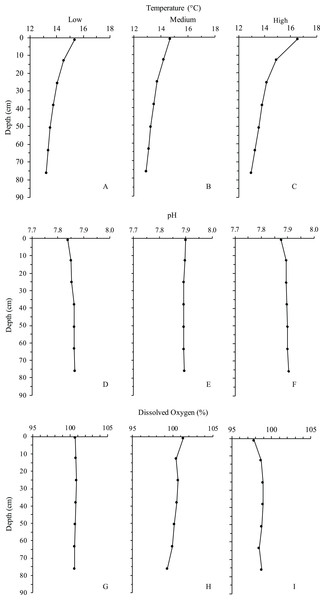 Depth profiles of each treatment for temperature, pH and dissolved oxygen.