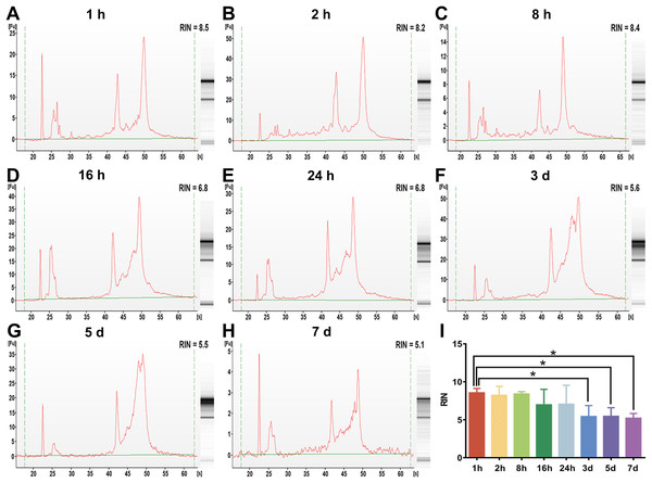 The assessment of whole blood RNA integrity under different preservation durations (from 1 h to 7 days) at 4 °C.