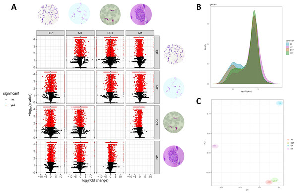 Gene expression in epimastigotes, CDTs, amastigotes and metacyclic trypomastigotes.