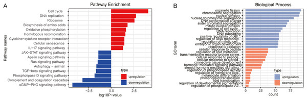 Function enrichment analyses for differently expressed genes.