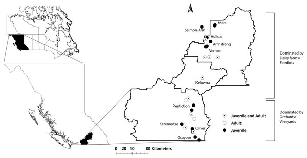 Map of the study area (Okanagan-Similkameen region) with sampling sites in British Columbia (BC), Canada.