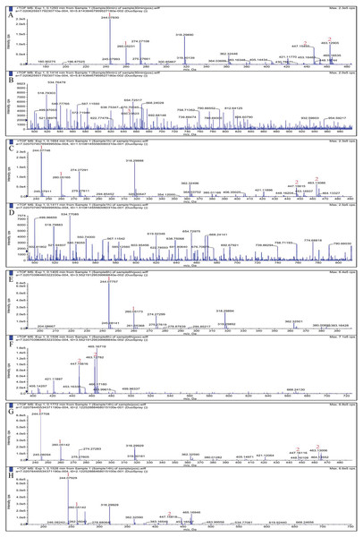 Electrospray ionization-mass spectrometry spectra of products of hydrolysis of colloidal chitin by chitinase from Paenibacillus chitinolyticus strain UMBR 0002.