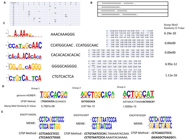 (A) One conserved sequence, which occurs 79 times in 46,264 binding site peaks from the ChIP-seq data-set. The mutation profile of this conserved sequence is illustrated, where ’_ ’ indicates this base is unchanged; DEL indicates this base is lost; INS X indicates a new base X is inserted in front of this base. (B) Several repeated elements patterns are listed. (C) In the first column, the top five DNA motifs, mined by meme-chip tools (Machanick & Bailey, 2011) are illustrated. The resemblant conserved sequences, found by the CFSP algorithm are listed in the second column. In the third column, the position-specific scoring matrices, which are transformed from mutational information are listed. The similarity between meme motif and resemblant conserved sequence with PSSM format was calculated via a stamp motif comparison tool (Mahony & Benos, 2007). The E-values for the similarity of those pairs is displayed in the fourth column. (D) One motif is selected in each group clustered by gkmsvm descriptors, and the corresponding motif found by the CFSP algorithm is listed below. (E) There are additional datasets (File No: ENCFF100GRL, ENCFF616IRT, ENCFF870CER, Target: SREBF1) collected from https://www.encodeproject.org. The top two motifs are selected in each file using meme tools, and the corresponding motifs found by our algorithm are listed below.