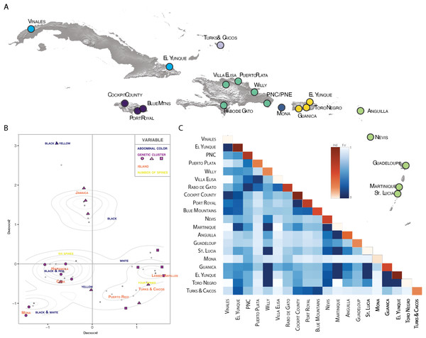 Population pairwise genetic diversity of G. cancriformis among 20 island populations.