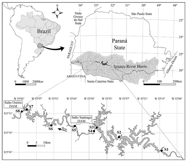 Map of the Salto Santiago and Salto Osório reservoirs, and the sampling sites in the Iguaçu River, Brazil.
