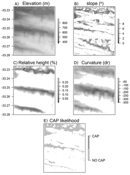 Surface maps of variables used to calculate CAP likelihood.