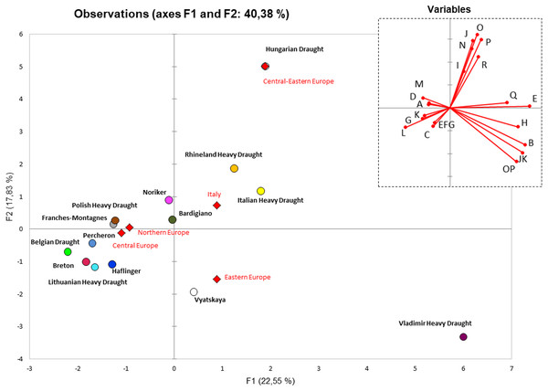 PCA plot representing the genetic landscape of European Heavy Horse breeds here considered, based on haplogroup frequencies from control-region data.