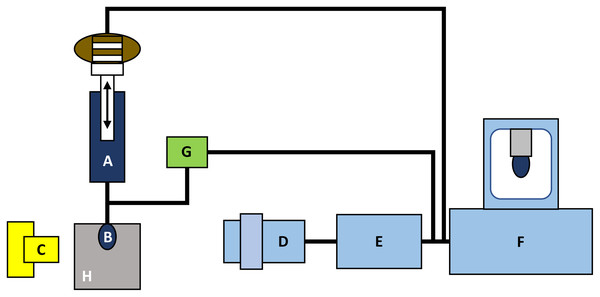 The principle concept of the DST measurements by tensiometer PAT-1 (adapted from http://sinterface.de/).