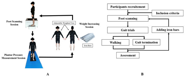 Protocol of foot scanning, plantar pressure collection and weight increasing.