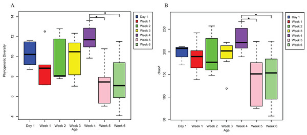 The alpha diversities in Asian particolored bat feces at different ages.