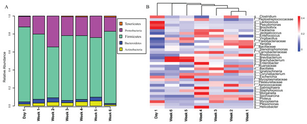 Stacked bar plots and heat map.