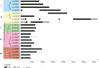 Identification and expression analysis of the DREB transcription factor ...