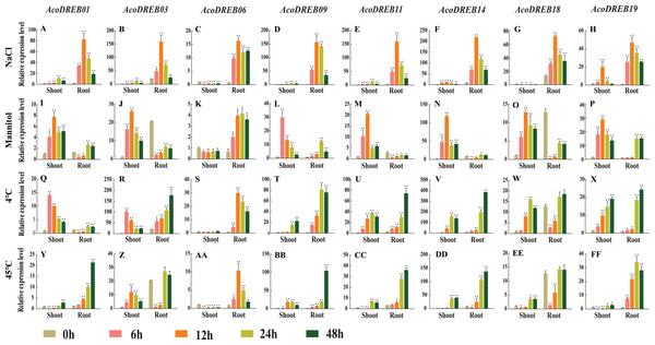 qRT-PCR expression analysis of eight selected AcoDREB genes in response to different abiotic stress treatments.