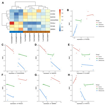 Proteomic profiling analysis of postmenopausal osteoporosis and ...