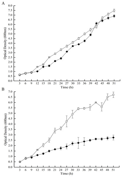 Effects of GOD induction on the growth of the P. pastoris GS115-His-GOD 01.