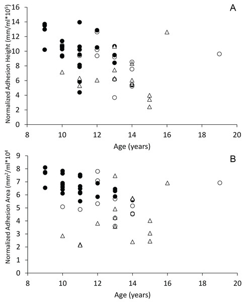 Scatterplots of interthalamic adhesion measurements across age.