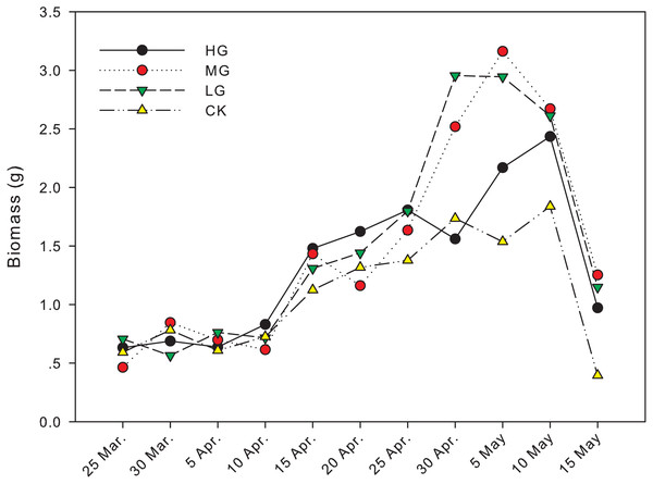 Changes in biomass of U. pumila by grazing intensities.