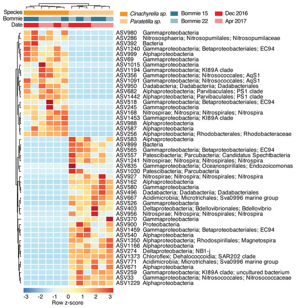 Scaled heatmap of 48 differentially abundant microbial ASVs based on ALDEx2 analysis (p-value < 0.05).