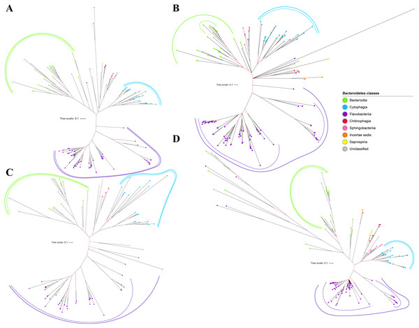 The Bayesian Inference (BI) phylogenetic trees of T9SS protein components (PorX, PorY, PorZ, and SigP).