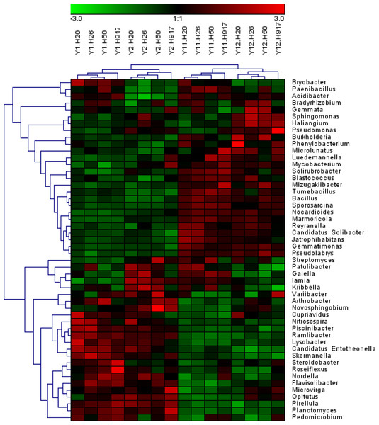 Heatmap presenting the distribution of the top 50 taxa at genus level in 16 monocropped peanut plots.