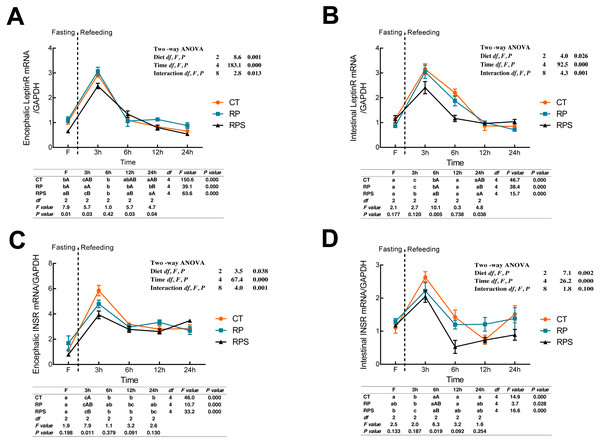 Sequential changes upon fasting and effect of refeeding on INSR and LeptinR mRNA levels in the brain and intestinal tract.