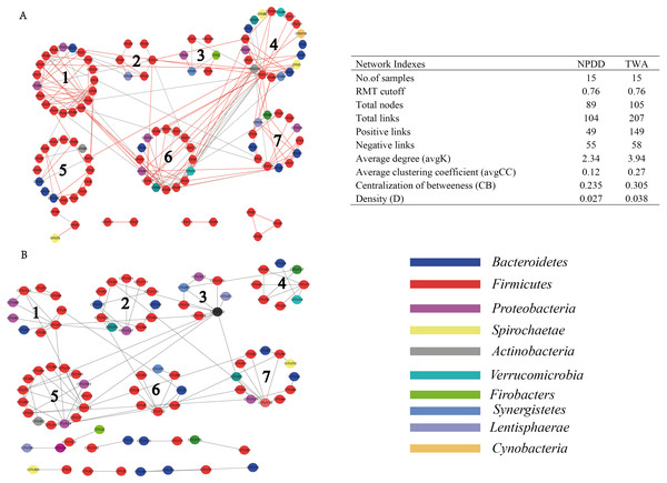 Comparision of gut bacterial networks between TWAs and NPDDs.