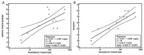 Relationship between pancreatic tumor and hepatic burden (A) or severity score (B).