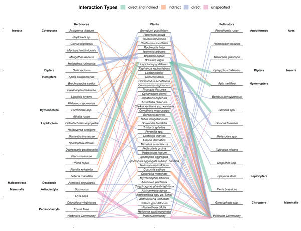 Network showing the interactions between herbivores, plants, and pollinators found within the 59 studies included in this review.