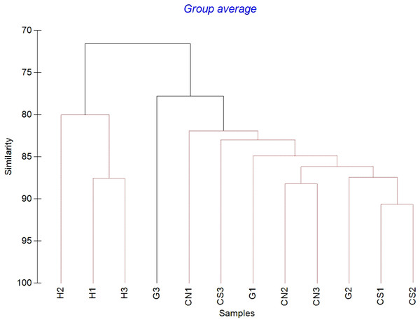 Cluster analysis with SIMPROF test performed on meiofaunal community composition.