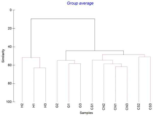 Cluster analysis with SIMPROF test performed on nematode composition.
