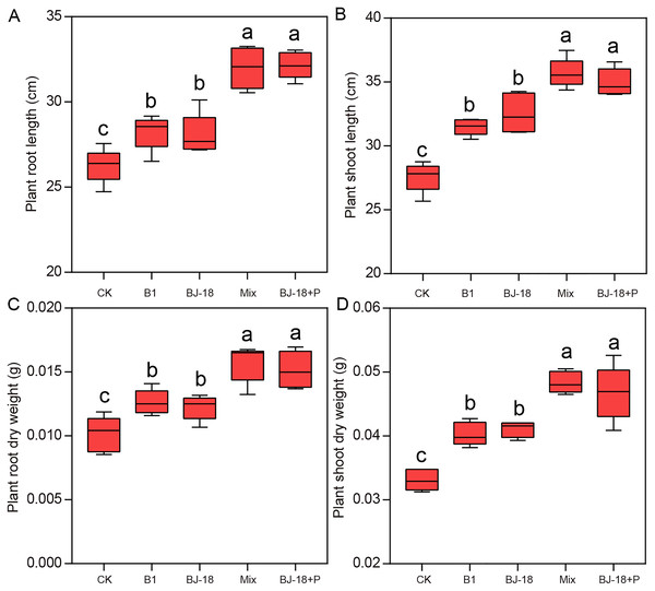 Wheat root length (A), shoot length (B), root dry weight (C) and shoot dry weight (D).