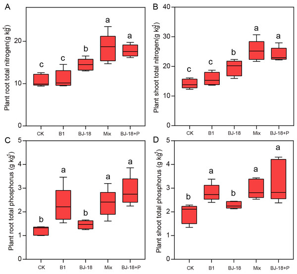 Plant root total N (A), shoot total N (B), root total P (C) and shoot total P (D).