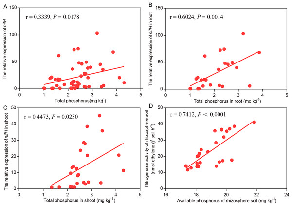 Pearson’s correlations between the efficiency of BNF and P nutrition of plant whole data set (A), plant root (B), plant shoot (C) and rhizosphere soil (D).